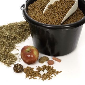 Equine Feed